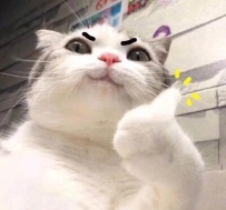 曲奇的烙饼铺2024年6月的营业计划